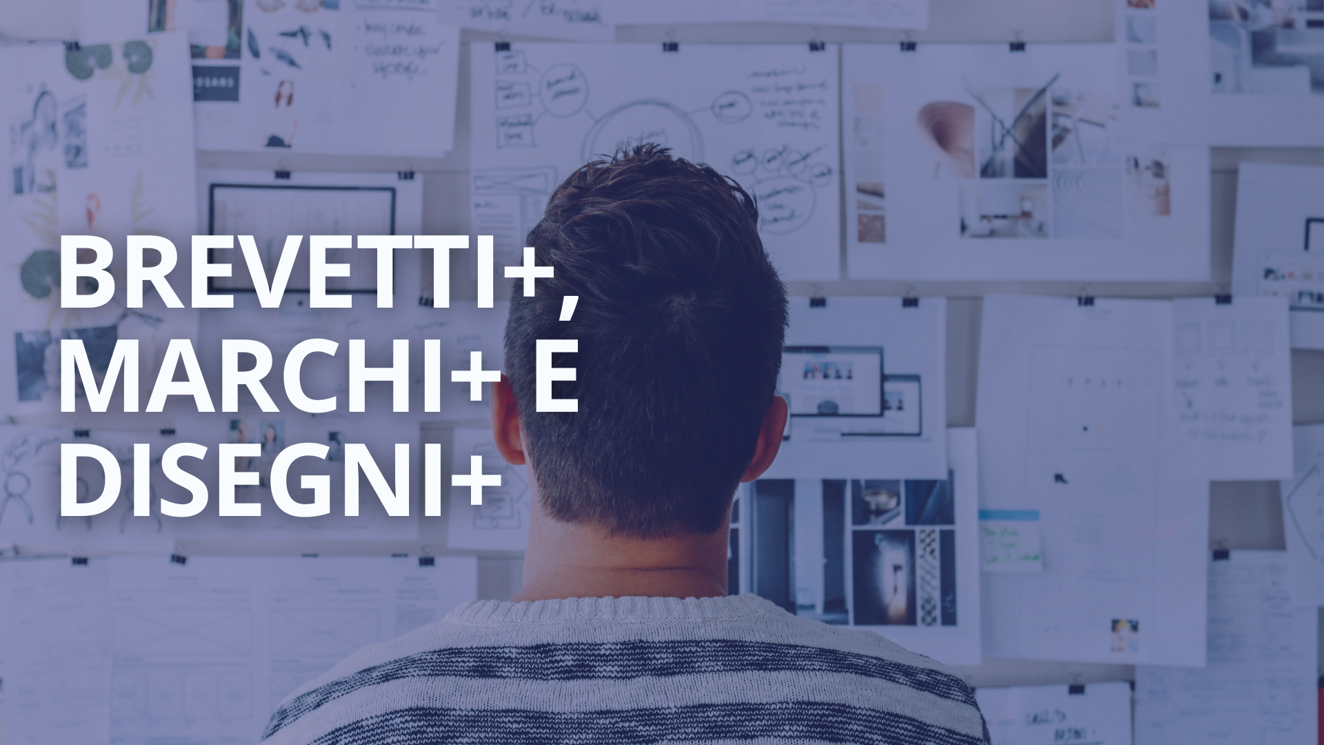 brevetti+-marchi+-disegni+-millergroup