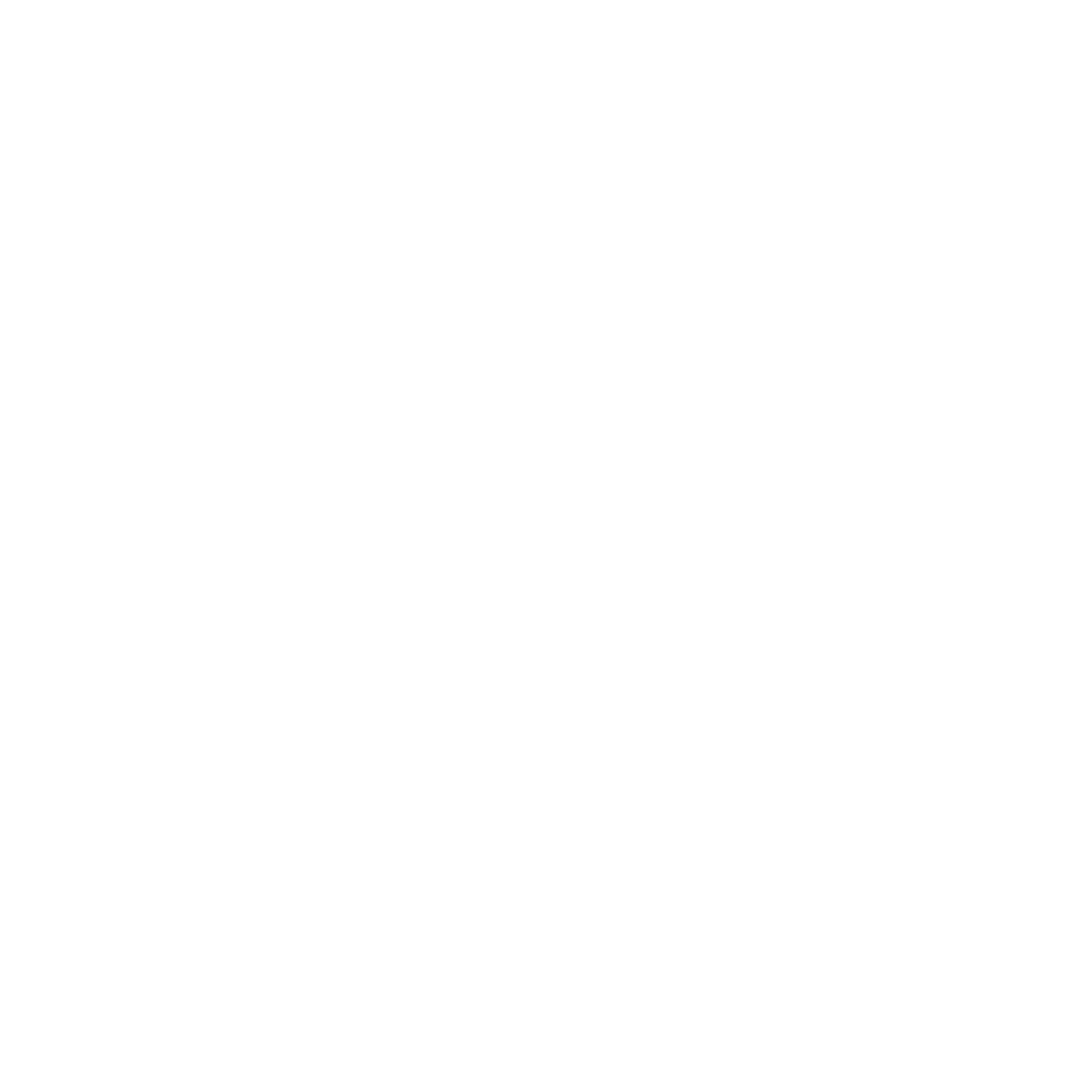 Corsi effettuati icona