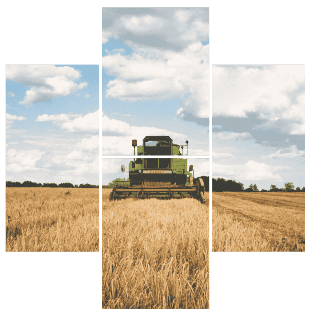 Ammodernamento 4.0 Società agricola Pacchioni - Millertech