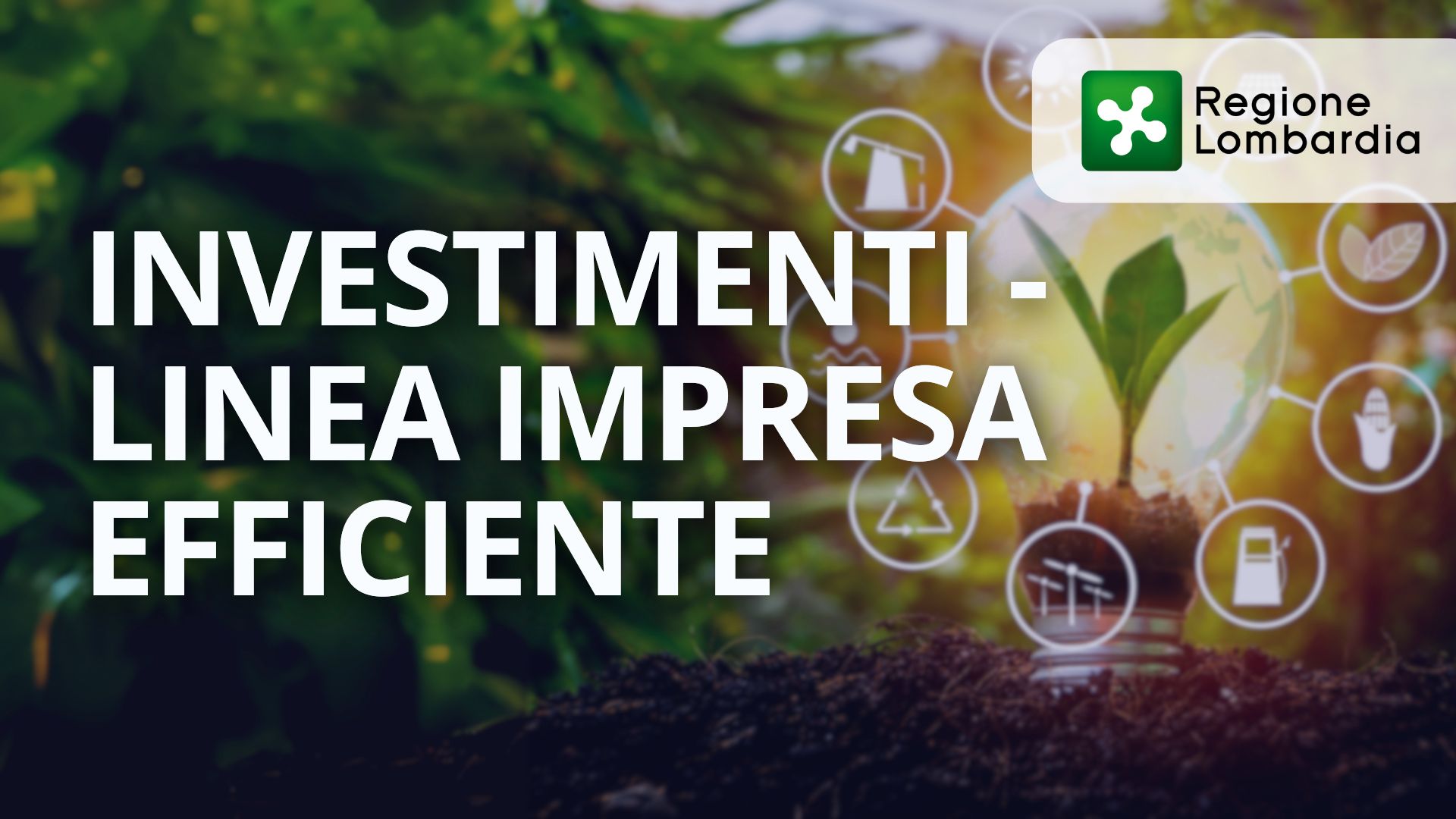 Investimenti – Linea Impresa Efficiente Lombardia